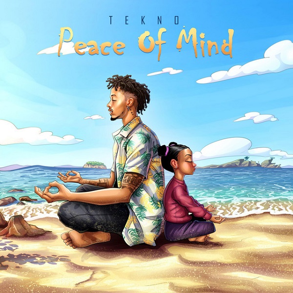 Tekno Peace of Mind